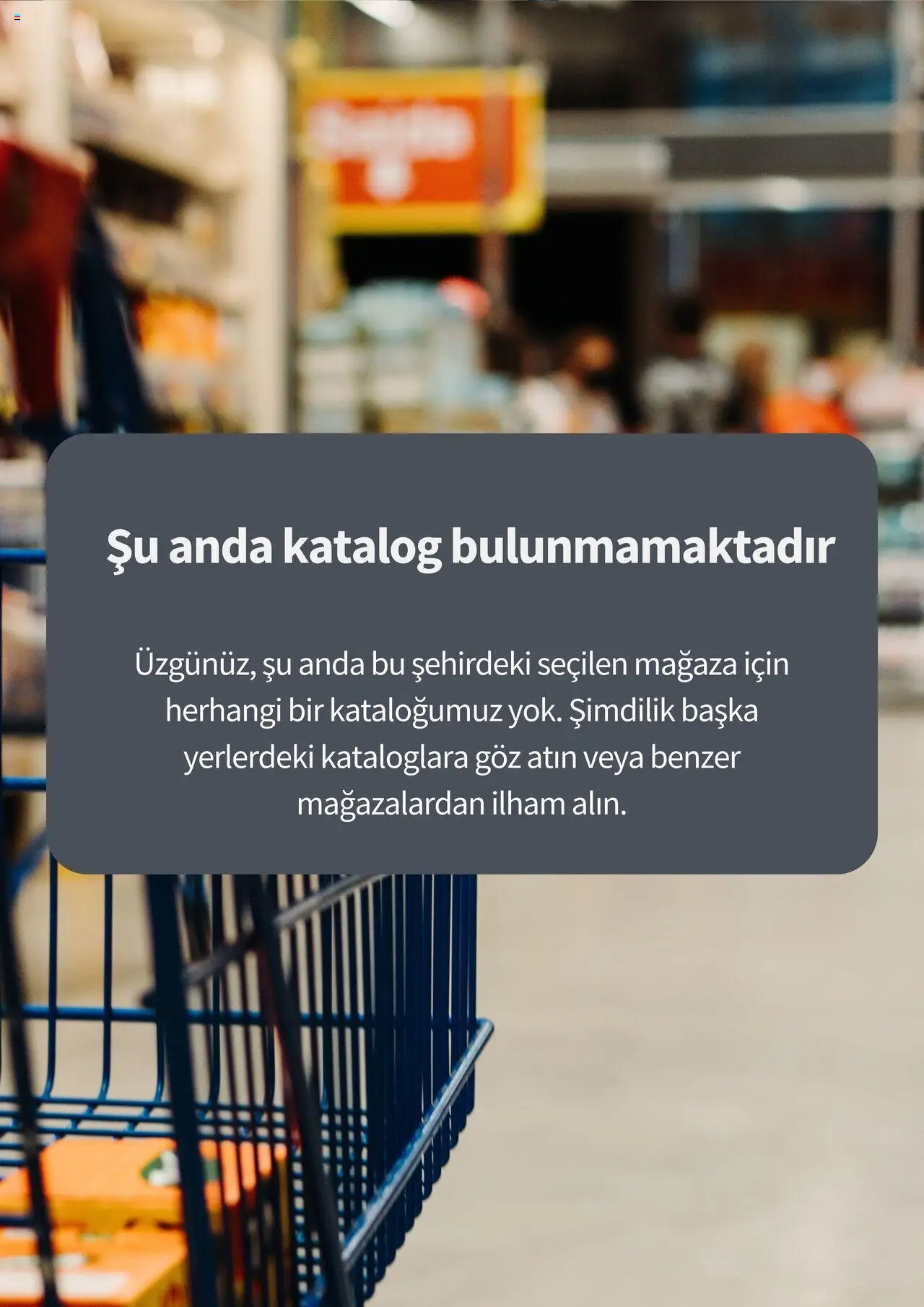 Özkuruşlar Katalog (31 - 31 Ağustos 2026) - Sayfa numarası 1