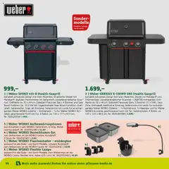 Vorschau von dem Prospekt des Geschäftes Pflanzen-Kölle, gültig ab dem 22.01.2025 | Seite: 64