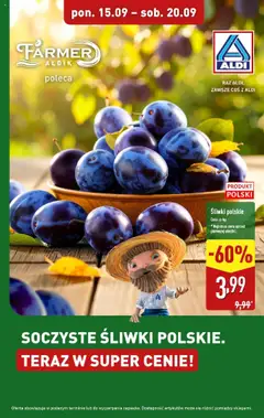 Pogląd gazetki "Soczyste śliwki w ALDI" ze sklepu Aldi ważnej od 14.09.2025