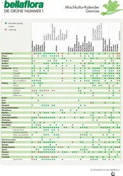Vorschau der Angebote: bellaflora Mischkultur-Kalender Gemüse gültig ab 13.02.2023
