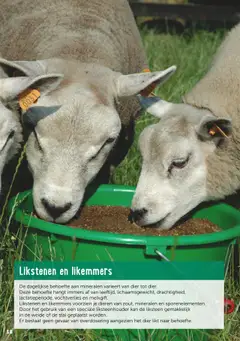 Voorbeeld van Folder van winkel Aveve geldig vanaf 07/04/2025 | Pagina: 18