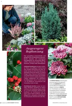 Vorschau von dem Prospekt des Geschäftes Dehner, gültig ab dem 09.10.2025 | Seite: 22