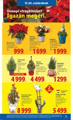 Lidl - Akciós újság Lidl megtekintése, amely érvényes 2025.12.04.-től | Oldal: 29