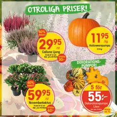 Förhandsgranska reklamblad Aktuella reklamblad EKO från butik EKO gäller från 13/10/2025
