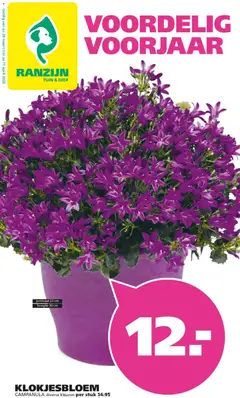 Voorbeeld van Ranzijn folder van winkel Ranzijn geldig vanaf 29-03-2026