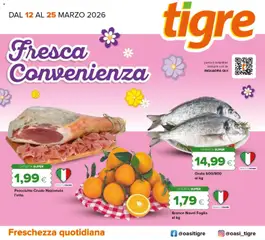 Anteprima dell'opuscolo Tigre volantino dal negozio Tigre valido da 12/03/2026