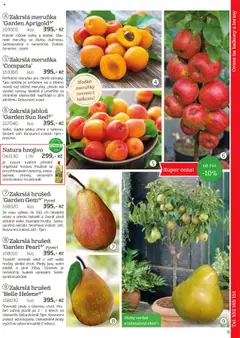 Náhled nabídky: Starkl Katalog podzim 2025 platný od 01.08.2025 | Strana: 9