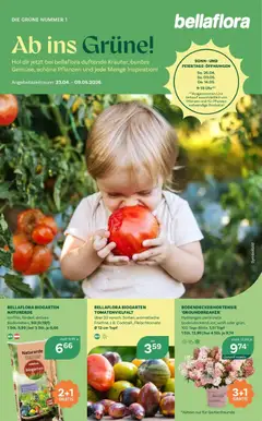 Vorschau der Angebote: bellaflora Bellaflora: Flugblatt gültig ab 22.04.2026