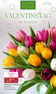Vorschau von dem Prospekt des Geschäftes Pflanzen-Kölle, gültig ab dem 09.02.2026