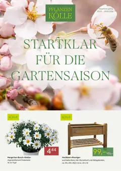 Vorschau von dem Prospekt des Geschäftes Pflanzen-Kölle, gültig ab dem 23.03.2026