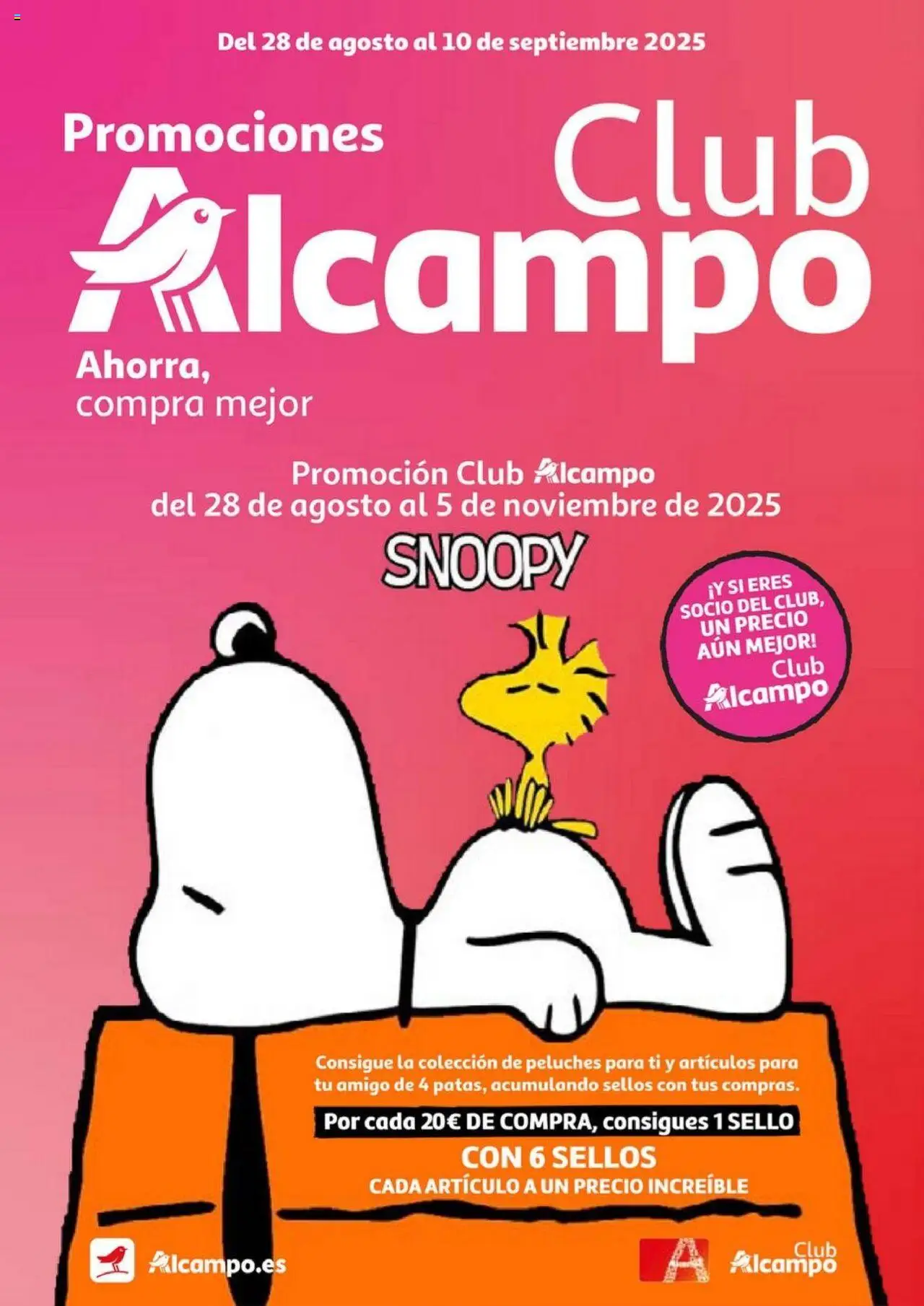 Alcampo folleto 28/08/2025 - 10/09/2025 > Club Nacional 