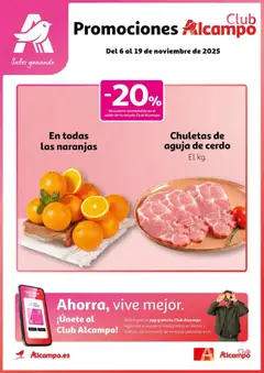 Vista previa del folleto de la tienda Alcampo válido desde el 06/11/2025 