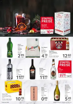 Vorschau von dem Prospekt des Geschäftes Selgros, gültig ab dem 06.11.2025 | Seite: 31