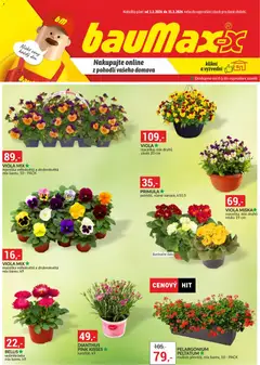 Náhled nabídky: BAUMAX BAUMAX leták platný od 01.03.2026