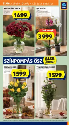 Aldi - Akciós újság Aldi megtekintése, amely érvényes 2025.11.06.-től | Oldal: 31
