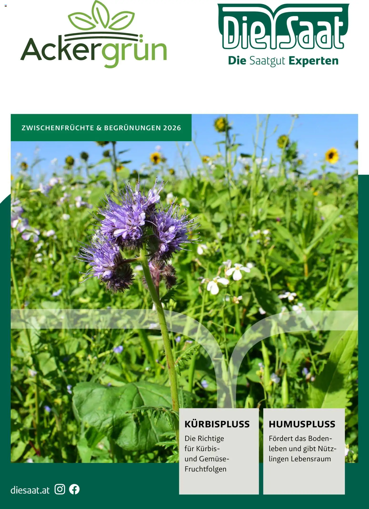 Vorschau der Angebote: Lagerhaus Lagerhaus Zwischenfrüchte und Begrünungen 2026 gültig ab 26.03.2026