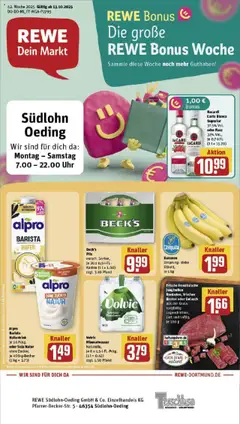 Vorschau von dem Prospekt des Geschäftes Rewe, gültig ab dem 13.10.2025