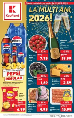 Previzualizarea de cataloage: Kaufland Alexandria valabil de la 24.12.2025