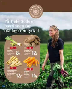 Eksempel på tilbudsavis Tilbudsavis fra butik Føtex gyldig fra 17/10/2025 | Side: 18