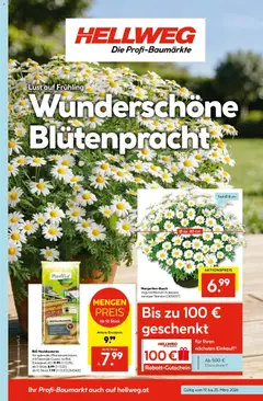 Vorschau der Angebote: HELLWEG HELLWEG Steindorf / Straßwalchen gültig ab 19.03.2026