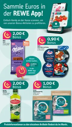 Voorbeeld van DE Folder van winkel Rewe DE geldig vanaf 10-11-2025 | Pagina: 2