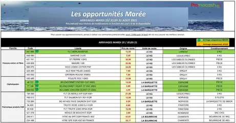 Prévisualisation de Mercuriale opportunités du magasin Promocash formulaire valide 19/08/2025