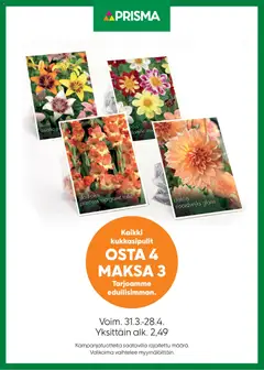 Kaupan Prisma Prisma tarjoukset kukkasipulit esikatselu, voimassa 31/03/2026