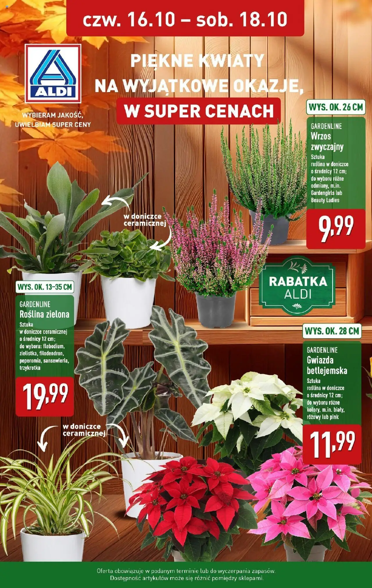 Pogląd gazetki "Piękne kwiaty" ze sklepu Aldi ważnej od 16.10.2025 - Kwiaty, Wrzos