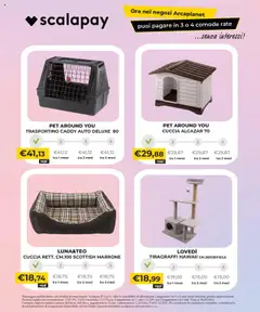 Anteprima dell'opuscolo Attuale volantino dal negozio Arcaplanet valido da 20/10/2025 | Pagina: 34