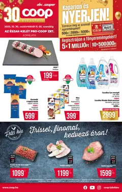 COOP - Észak Kelet Pro-Coop Zrt megtekintése, amely érvényes 2025.10.30.-től