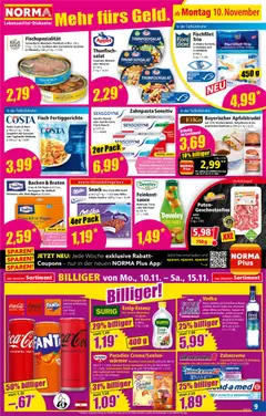 Vorschau der Angebote: Norma Flugblatt gültig ab 10.11.2025 | Seite: 10
