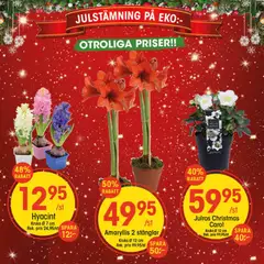 Förhandsgranska reklamblad Aktuella reklamblad EKO från butik EKO gäller från 17/11/2025