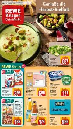 Voorbeeld van DE Folder van winkel Rewe DE geldig vanaf 20-10-2025