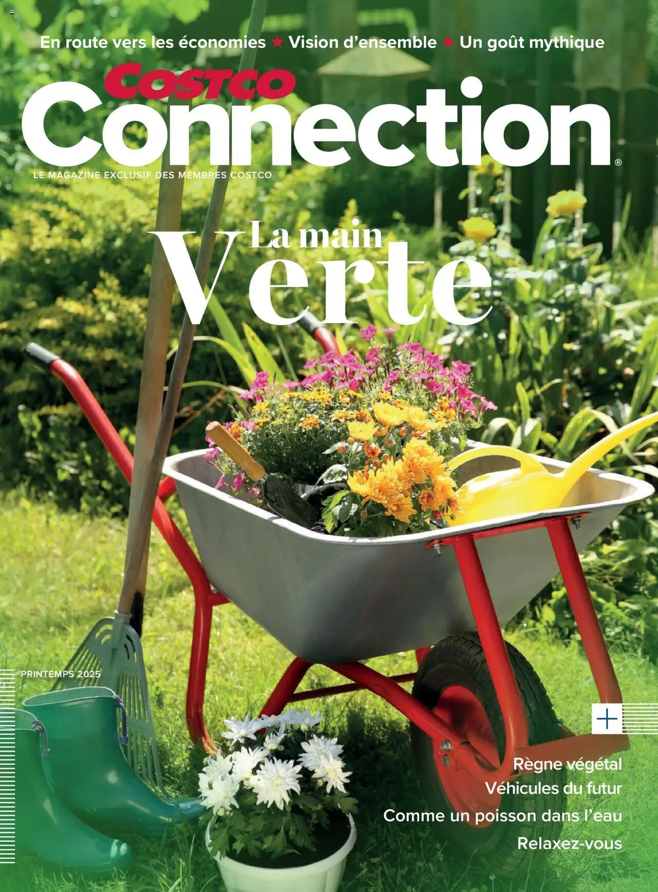 Connection de la boutique Costco valable du 26/05/2025 - Page numéro 1 - Poisson, Thé, Magazine