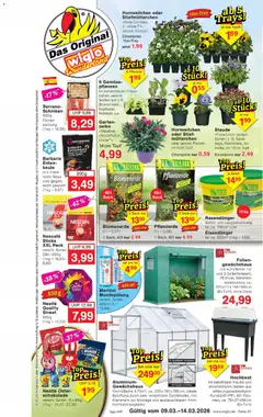 Vorschau von dem Prospekt des Geschäftes Wiglo Wunderland, gültig ab dem 09.03.2026