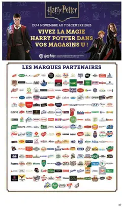 Prévisualisation de Catalogue du magasin Super U formulaire valide 04/11/2025 | Page: 47