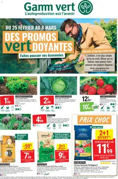 Prévisualisation de Des promos vertdoyantes du magasin Gamm vert formulaire valide 25/02/2026