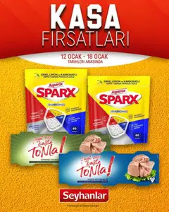 Seyhanlar Market Katalog Kasa Fırsatları 12.01.2026 - Broşürünün önizlemesi