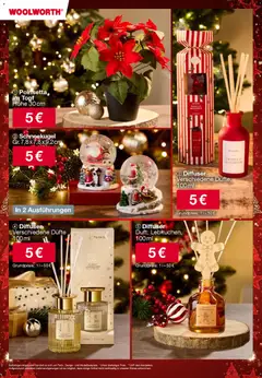 Vorschau von dem Prospekt des Geschäftes Woolworth, gültig ab dem 06.11.2025 | Seite: 19