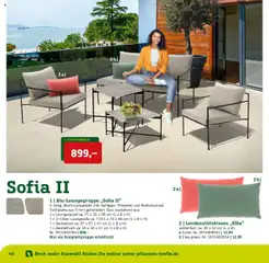 Vorschau von dem Prospekt des Geschäftes Pflanzen-Kölle, gültig ab dem 22.01.2025 | Seite: 40