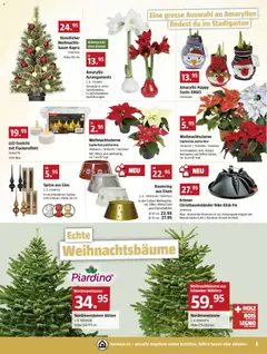 Vorschau des Merkblatts Aktionen vom Shop Bauhaus gültig von 01.12.2025 bis 28.12.2025 | Seite: 5