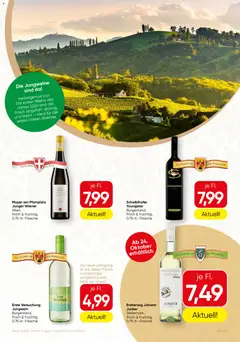 Vorschau der Angebote: SPAR Gourmet Flugblatt gültig ab 23.10.2025 | Seite: 9