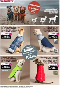 Náhled nabídky: Woolworth Leták platný od 31.10.2025 | Strana: 15