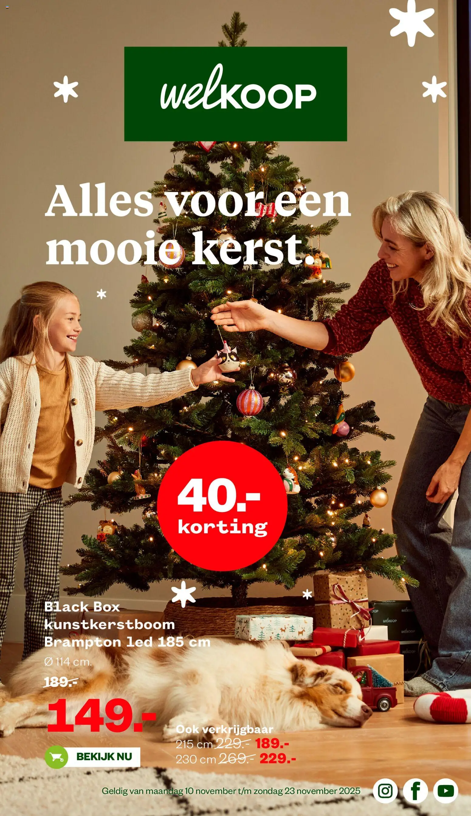 Voorbeeld van Folder van winkel Welkoop geldig vanaf 10-11-2025