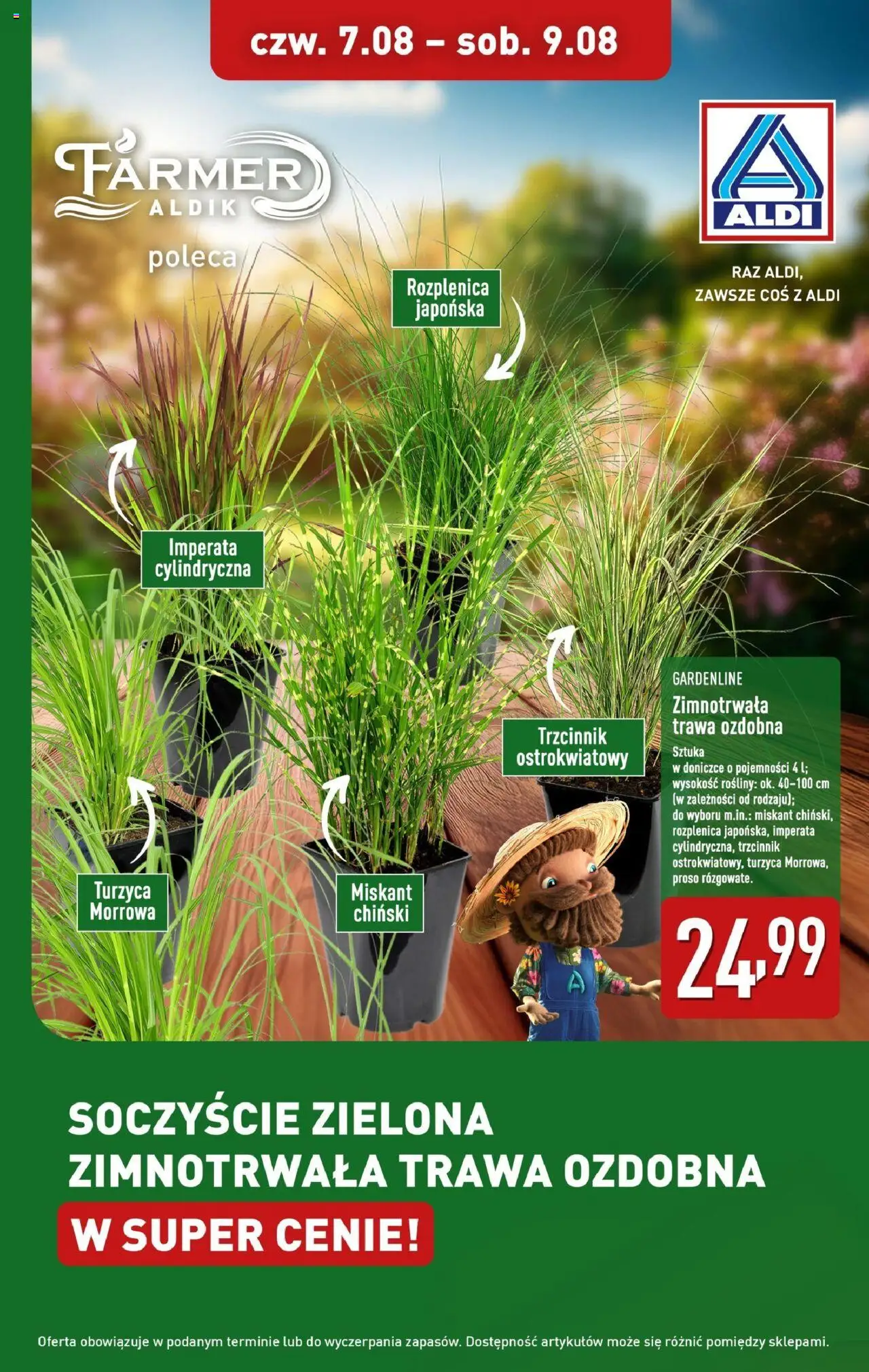 Aldi Promocja Trawa od 07.08.2025 - Nowa Gazetka - Numer strony 1