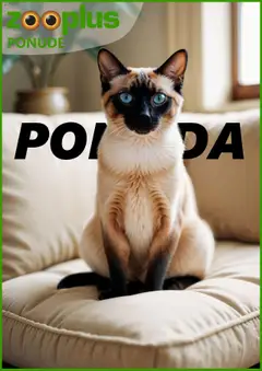 Pregled letka Katalog trgovine Zooplus vrijedi od 26.06.2025