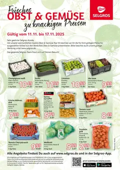 Vorschau von dem Prospekt des Geschäftes Selgros, gültig ab dem 11.11.2025