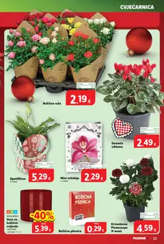 Pregled letka Katalog trgovine Plodine vrijedi od 03.12.2025 | Stranica: 23