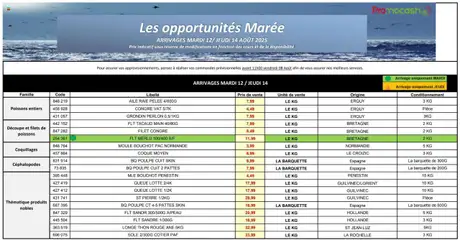 Prévisualisation de Mercuriale opportunités s33 du magasin Promocash formulaire valide 12/08/2025