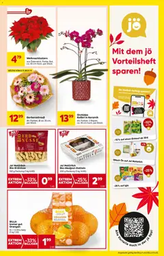 Vorschau der Angebote: Billa Prospekt aktuell gültig ab 06.11.2025 | Seite: 9